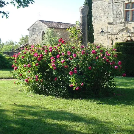 Château Du